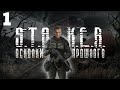 S.T.A.L.K.E.R. Осколки Прошлого #1 Начало Истории и Знакомство с Местными