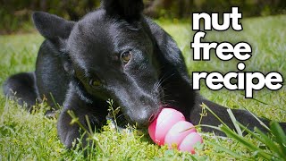 EASY Homemade Kong Filler Your Dog will LOVE by Busy With Dogs 54 views 1 month ago 8 minutes, 35 seconds