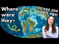 Cretaceous Paleogeography Quiz