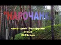 Лето 2019! Отдых в санатории "Нарочанка"