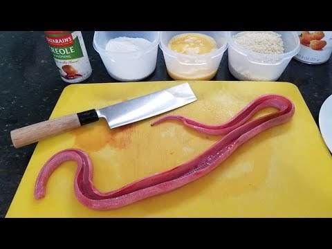 Catch & Cook Snake - 버마 비단뱀을 손으로 사냥하기