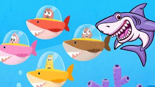 Baby Shark - Finger Family - Baby songs - Nursery Rhymes & Kids Songs