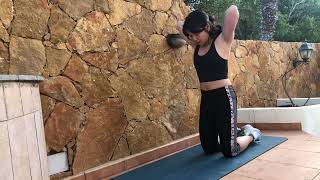 Weighted Eccentric Push-up demo