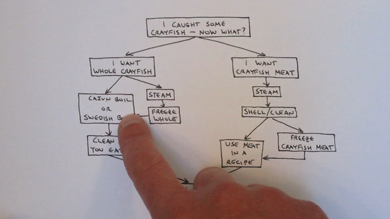 The Crayfish Flowchart: Options for Cooking and Cleaning Crayfish - YouTube