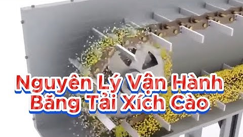 Băng Tải Xích Cào: Nguyên Lý Vận Hành & Video Mẫu Demo Hoạt Động Xích Cào Liệu - Băng Tải Việt Phát