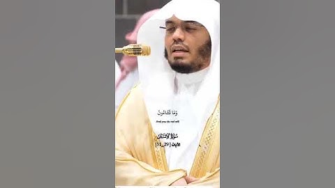 القران الكريم بصوت الشيخ ياسر الدوسري #تلاوة_خاشعة 🤍🤍