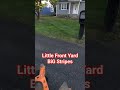 🔥 Little Front Yard BIG Stripes! #lawnlife #lawncarenation #lawncare