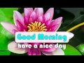 good morning wishes flowers blooming video whatsapp