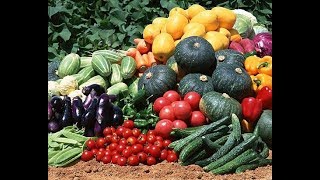 Собираем урожай с огорода/Деревенские пирожки/Деревенские будни Собираем урожай с огорода/Деревенские пирожки/Деревенские будни