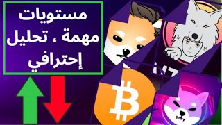 Dogelon Shiba  Saitama :بيتكوين ، دوج إيلون ، شيبا إينو، وسايتاما في مستويات مهمة ، تحليل إحترافي