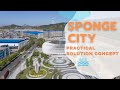 🆕Sponge City 👉🏾 Sponge City Concept ⛲RainWater Harvest Best Solution!