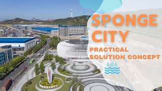 🆕Sponge City 👉🏾 Sponge City Concept ⛲RainWater Harvest Best Solution!