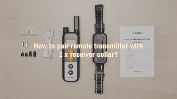4. How to pair remote transmitter with 1 x receiver collar？