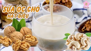 Cách làm sữa hạt óc chó, hạt điều | Sữa óc chó - Dinh dưỡng vàng cho cả gia đình