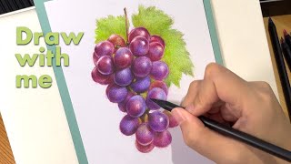 Draw with me | Grapes colour pencils drawing