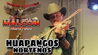 HUAPANGOS NORTEÑOS - TRIO HALCON HUASTECO De Marte Santana SALON FACTORES MUTUOS