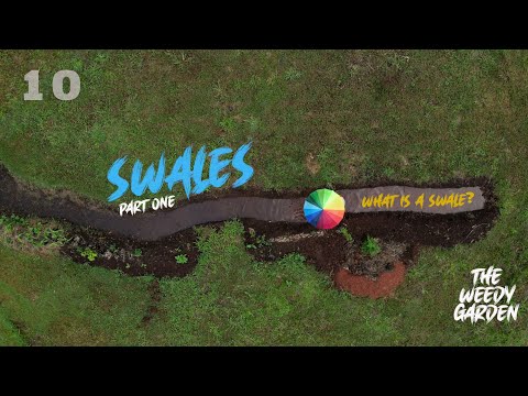 How to Build Swales. What is a swale?