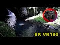 8K VR180 CAVE ENTRANCE ASMR at Springbrook National Park Part 5 in 3D (Travel/Lego/Nature/Music)