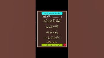 سورة النور - سورة 24 - اية (47)