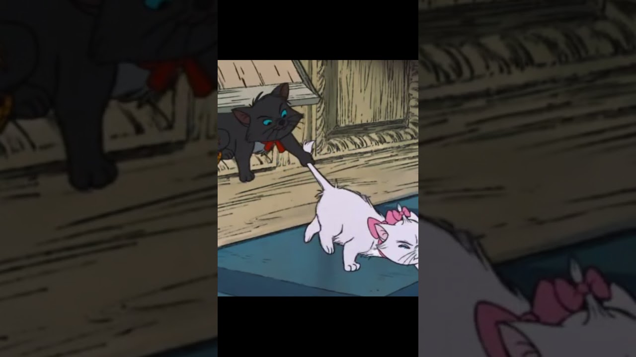 котенок - леди