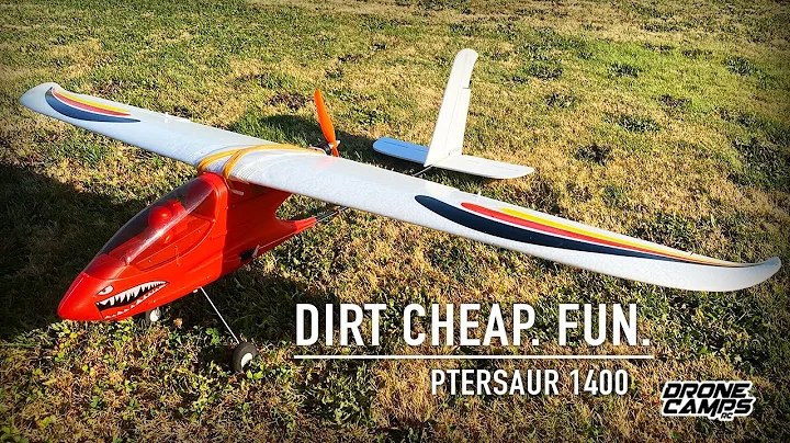 $100 RC AIRPLANE JUST BROKE THE INTERNET