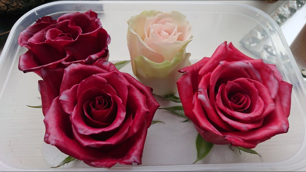 Preserving Roses In Wax You