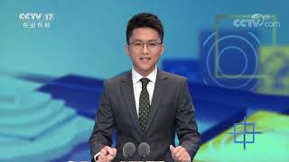 《中国三农报道》 20201110|CCTV农业