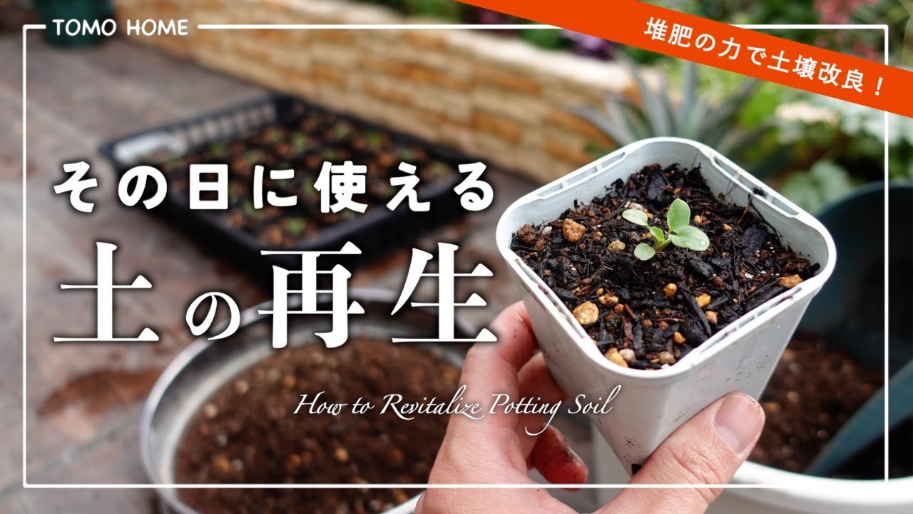 古い土を速攻再生！簡単な土の再生方法・植え付けまでやってみた