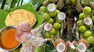 KELAPA DI MASAK MACAM NI SANGAT SEDAP || PEKNGA / LEMPENG KELAPA Sarapan pagi orang UTARA