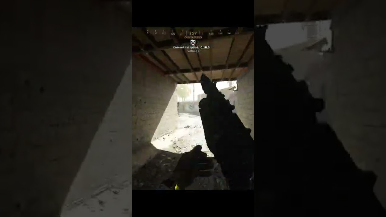 PP BIZON│Call of Duty│Highlights│