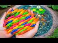 Catching Fancy Ornamental Fish In Tiny Pond, Grass Guppy, Arowana, Pencil Fish, Koi, Swordtail Fish
