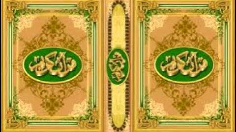 سورة النحل   أحمد نعينع