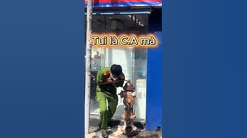 Tui là CÔNG AN mà, đâu phải THỢ sửa ống nước đâu #diemtin #shorts