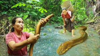 survival in the rainforest-found big eels with mushroom for cook &amp; give to pets HD