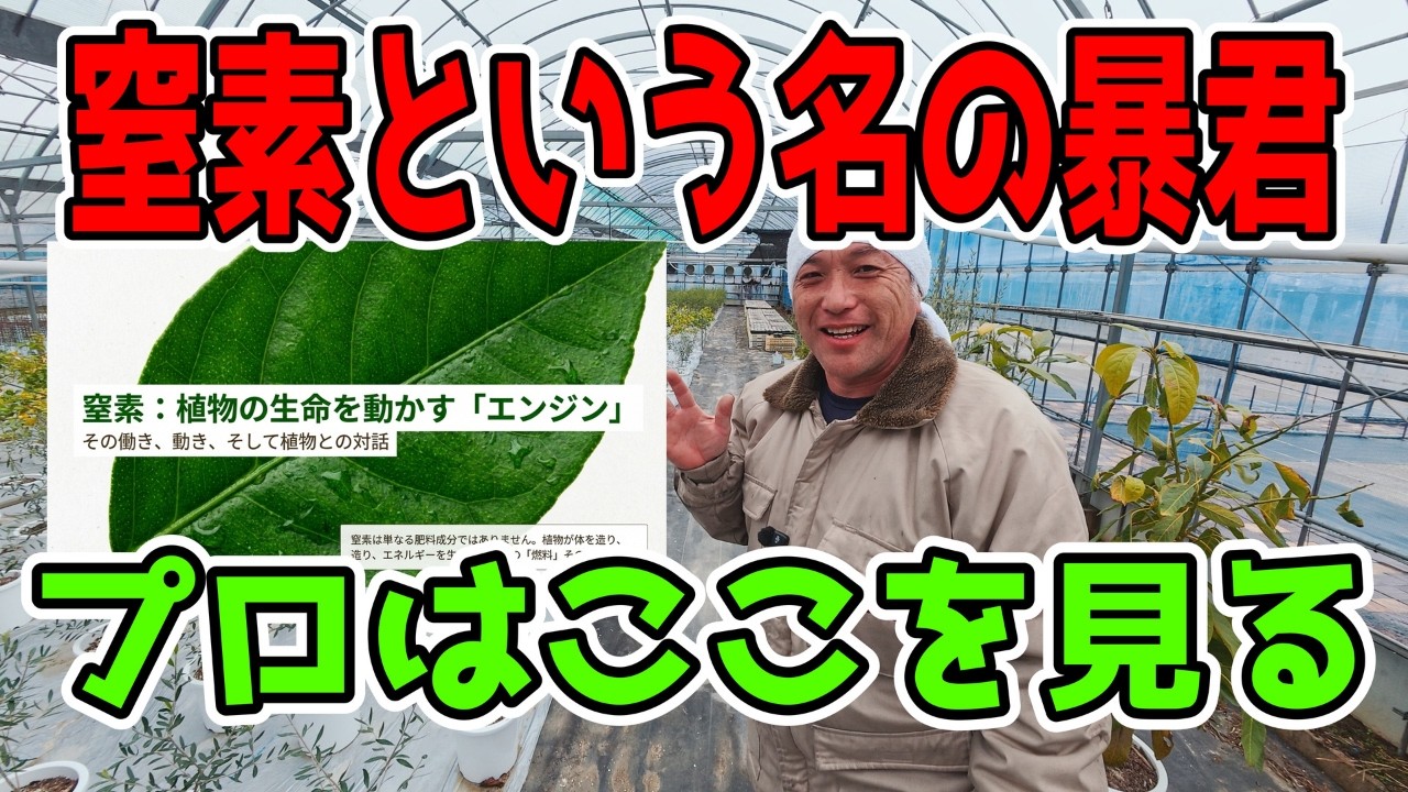 【衝撃】窒素、ただの肥料じゃない！植物を操る王様 Nitrogen Rules Plants!