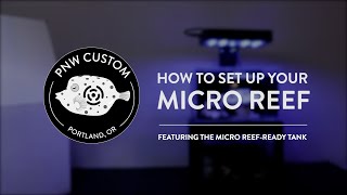 How To Set Up Your Micro Reef | Micro Reef-Ready Tank