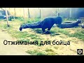 ВІДТИСКАННЯ ДЛЯ БІЙЦІВ. ТРЕНУВАННЯ ВДОМА/push-ups for fighters. Training at home.