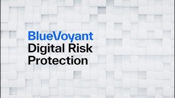 BlueVoyant Digital Risk Protection