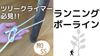 ねじ結び ロープの結び方 Timber Hitch Moss