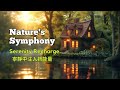 Natures symphony forest whispers  serenity recharge   meditationmusic relaxingmusic