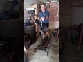 Fitness Exercise On The Nordic Ski Machine 