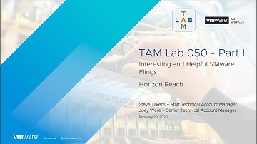 TAM Lab 050 Part I - Horizon Reach Fling