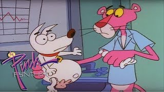 The Pooch and the Panther | The Pink Panther (1993)
