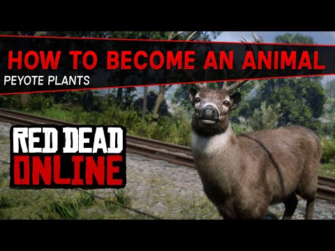How To Become An Animal In Red Dead Online (Peyote Plants)