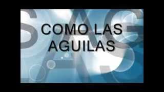 Video thumbnail of "Como las Aguilas Letra  (Patricio Mena)"