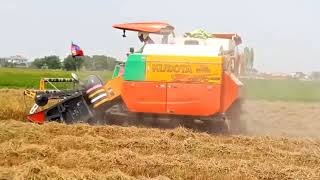 GREAT KUBOTA HARVEST RICE MACHINE HARVESTER 3#farming #machinery