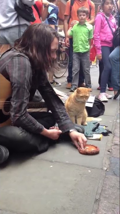 Kucing nya ikut ngamen