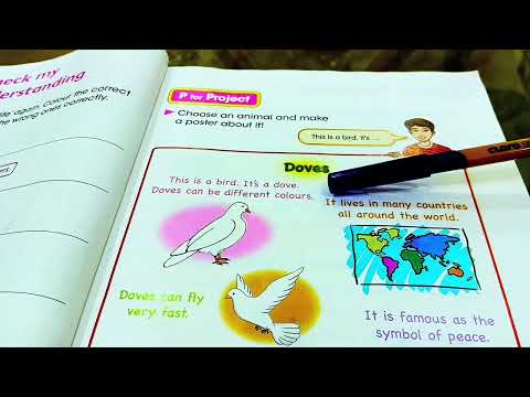 انكليزي صف خامس ابتدائي تر الحمام يونت   صفحه  ٣٥