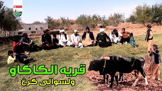 قریه الکاکو -گزارش از ولسوالی کرخ قریه الکاکو