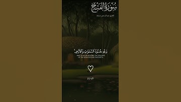 اجمل تلاوه #خاشعه هادئة #صوت جميل أرح سمعك   #اكتب شي تؤجر عليه # قران كريم